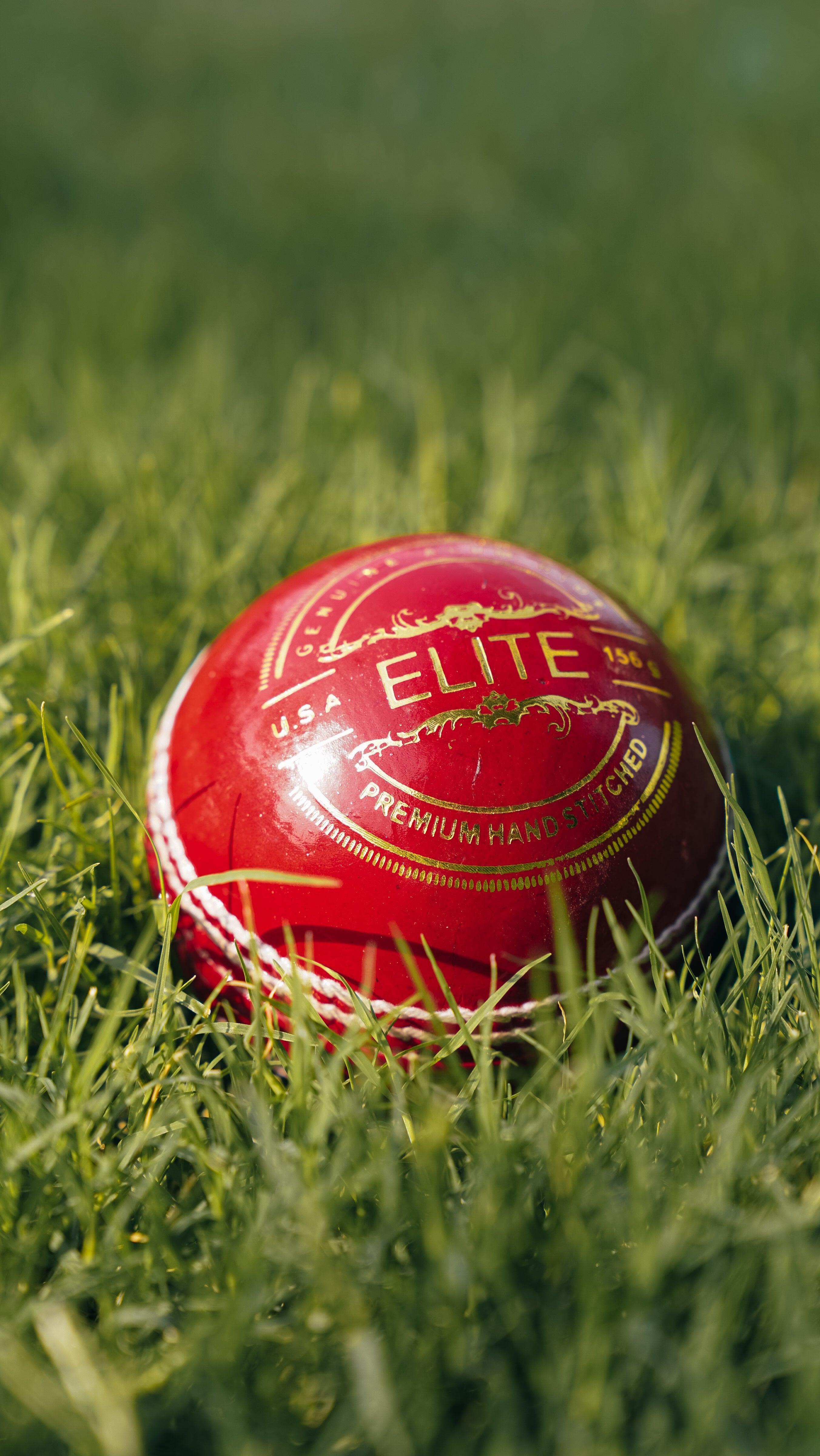 Bolt Elite Leather Ball - Hand Stitched - 6 Pack